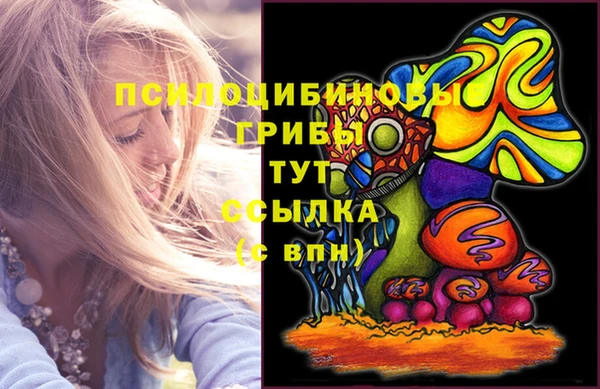 PSILOCYBIN Бронницы